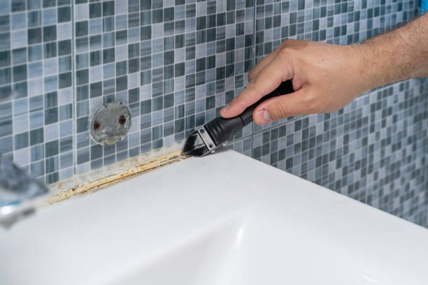 Best Mold Testing and Inspection Services in Longboat Key, FL